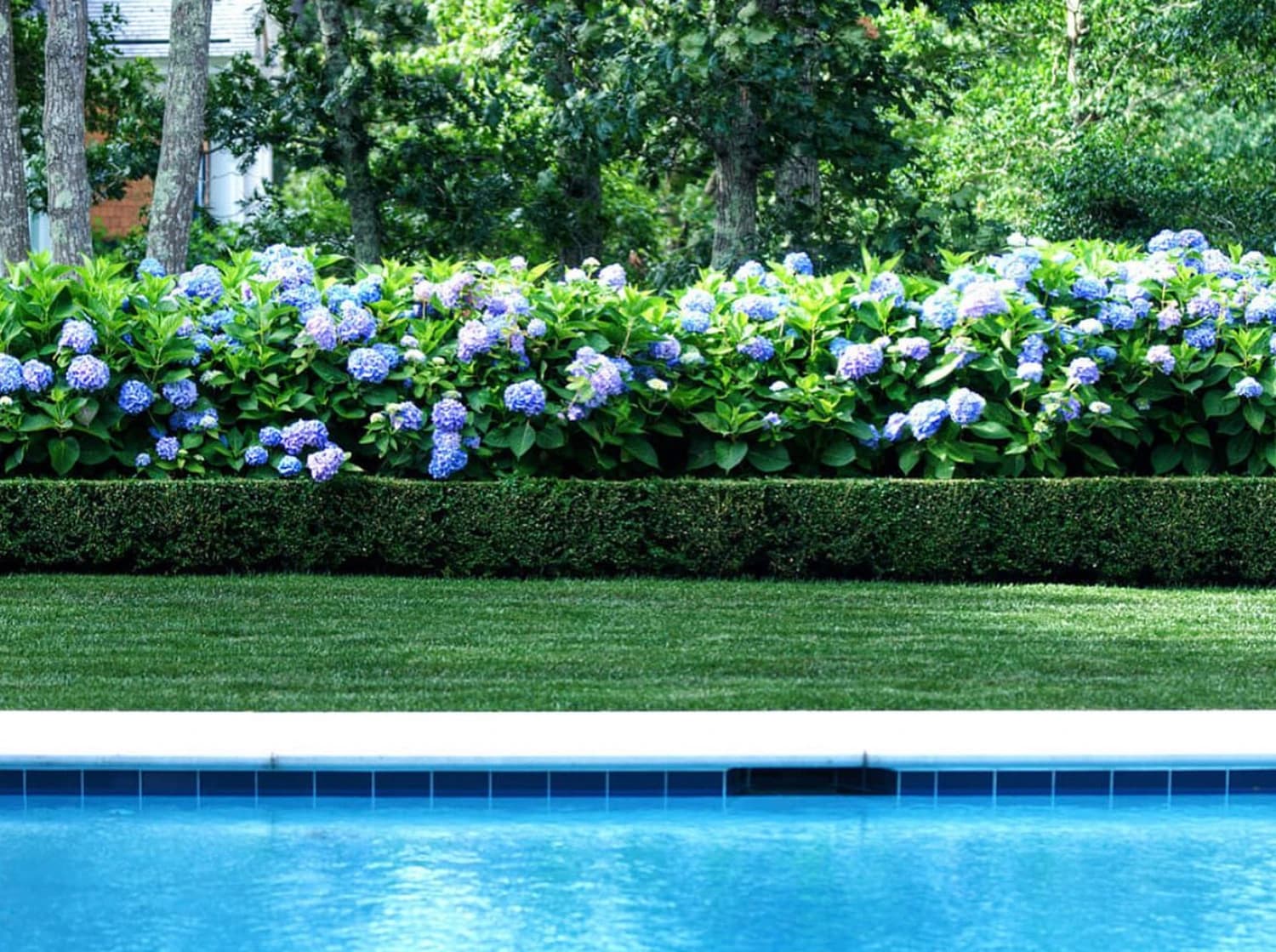 Luftaufnahme einer Villa mit Pool und formgeschnittenen Hecken