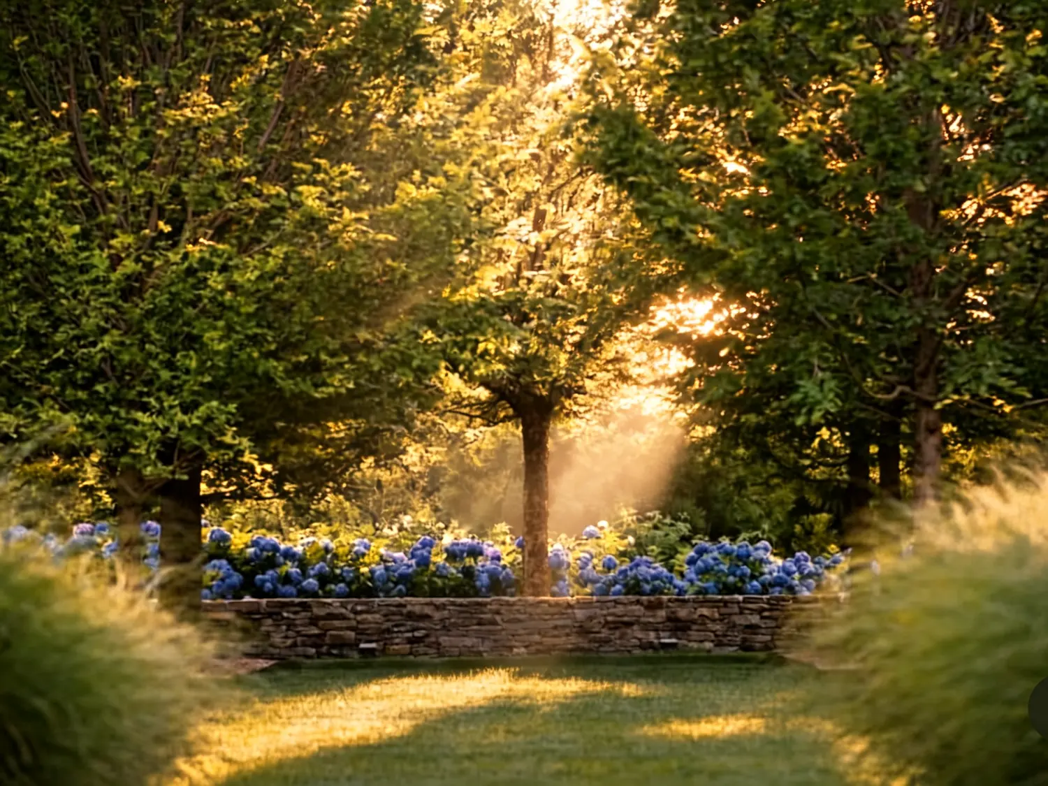 Sonnenlicht durch blühende Bäume im Garten