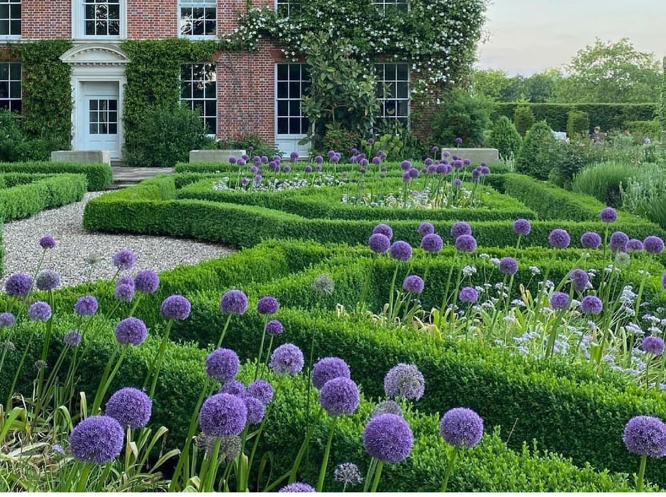 Garten mit Formhecken im warmen Abendlicht